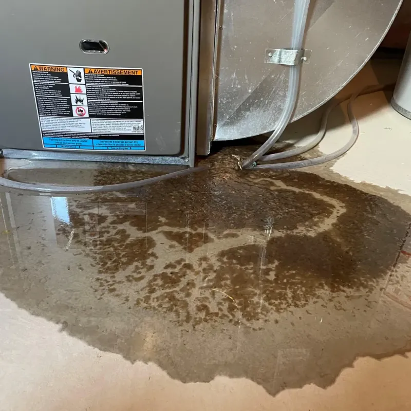 Appliance Leak Cleanup in Fuquay-Varina, NC